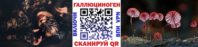 где найти наркотики блэк спрут зеркало Галлюциногенные грибы Cubensis Хотьково